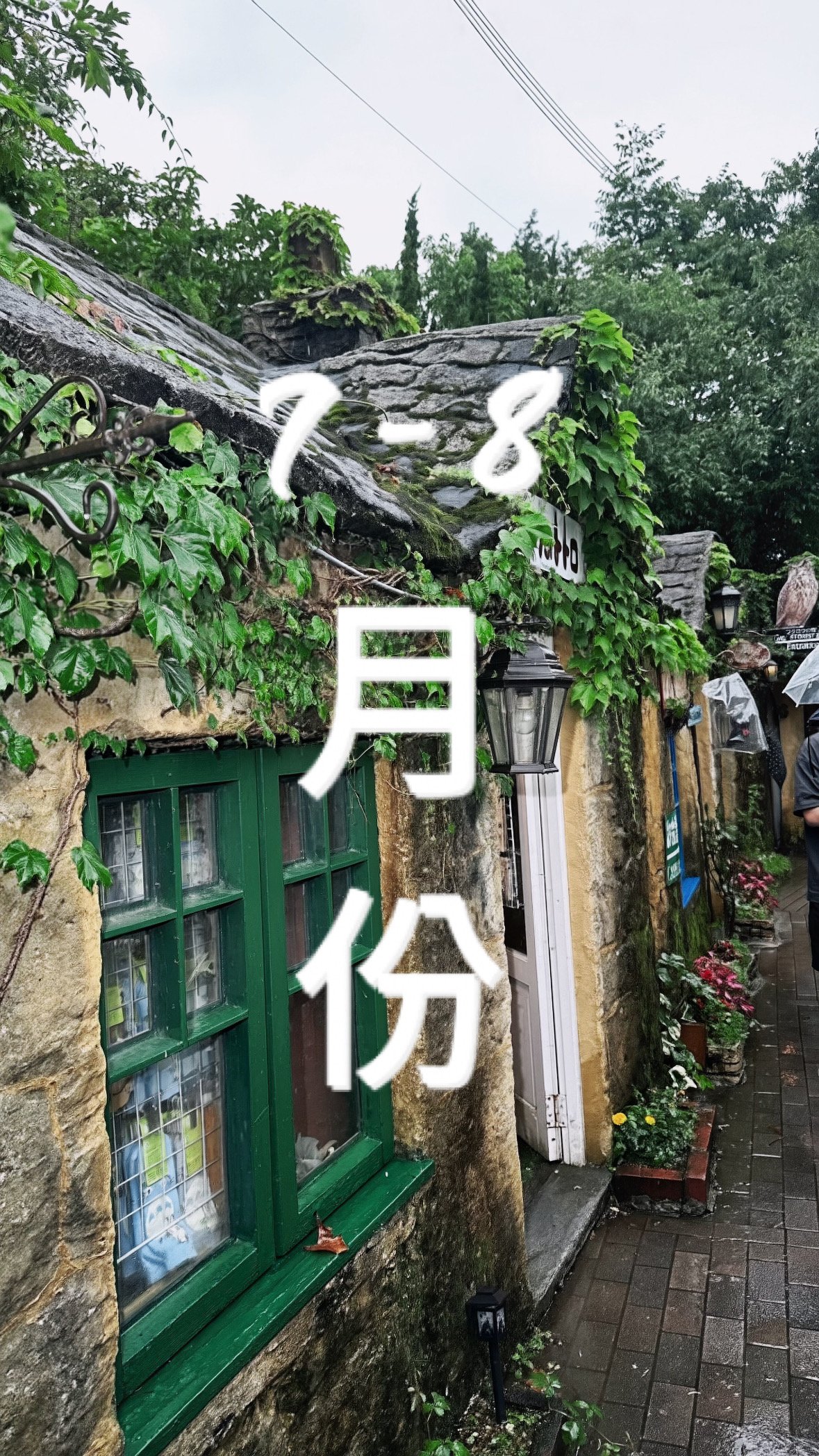 7-8月 7-8月