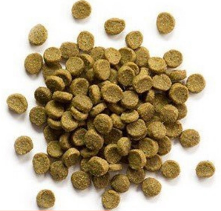 路比爾寵貂飼料(獸醫建議可少量攝取) 50G