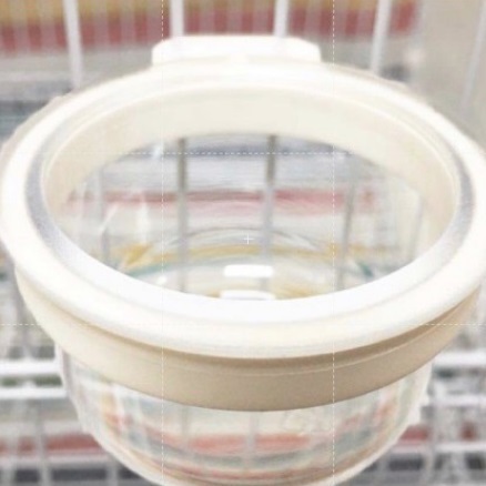 掛式小圓杯（可裝水裝飼料）