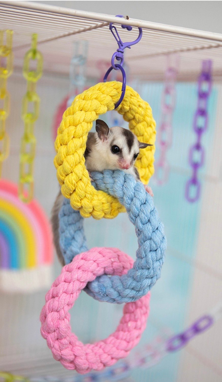 籠內三個圈圈玩具