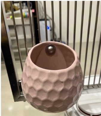 夏天 鎖籠版陶窩