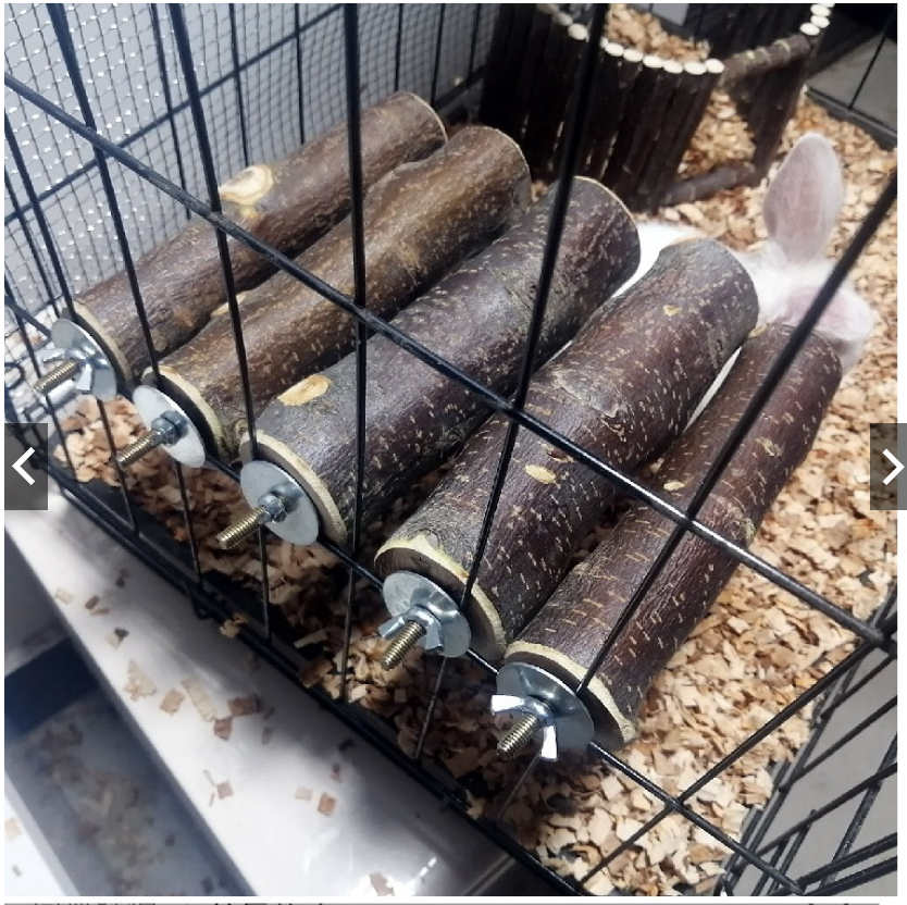 蘋果木/胺樹木站棍 鎖式 10公分