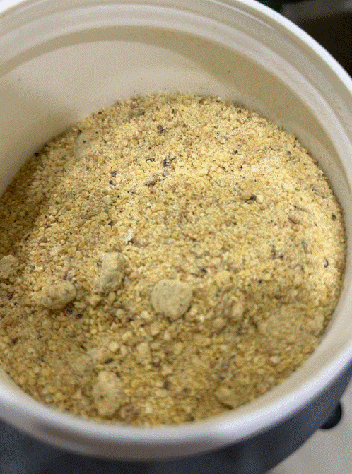 自製蜂蛹乾粉 5G