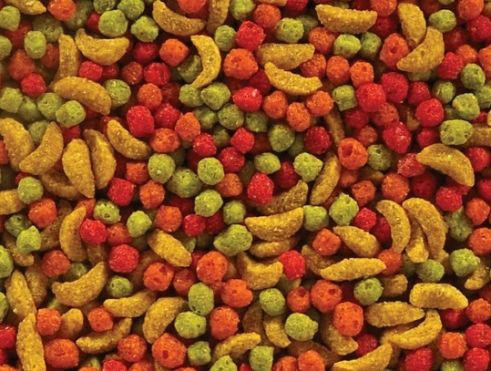 水果磨牙餅(圓) 100G