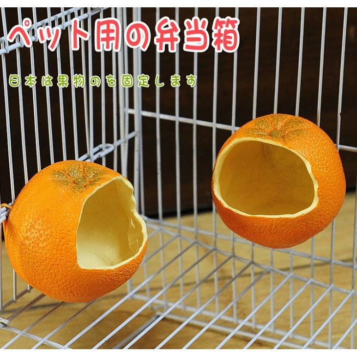 橘子造型 小鳥/蜜袋鼯 可掛樹脂食盒