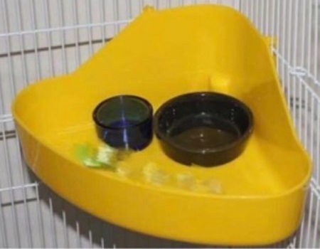 扇形淺型餐盤食盆餐檯（不含食盆）