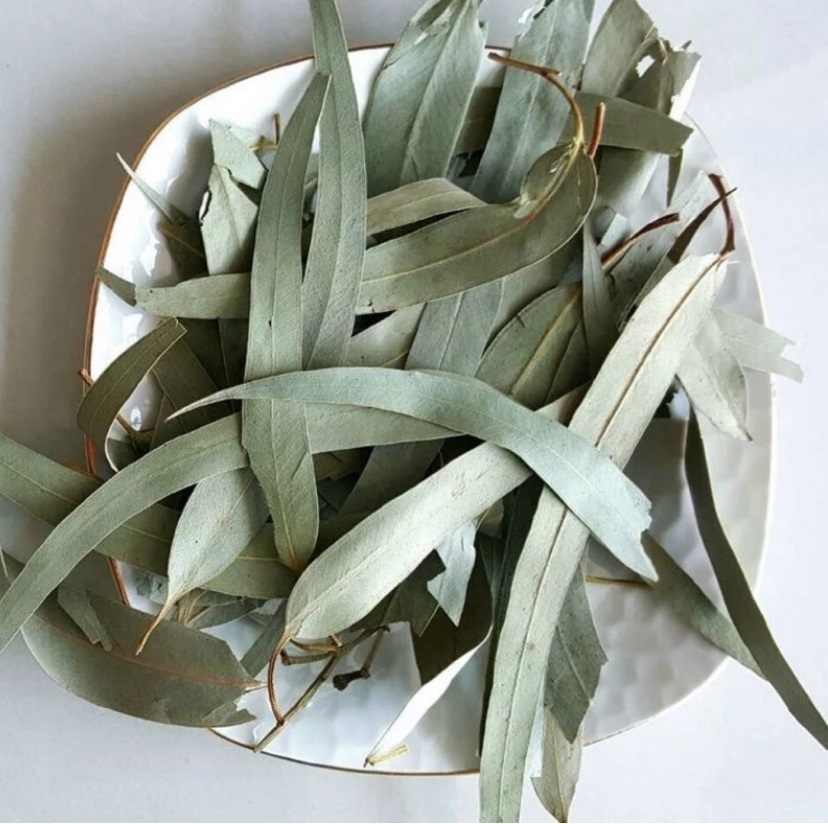 有機蜜袋鼯桉樹葉 50G