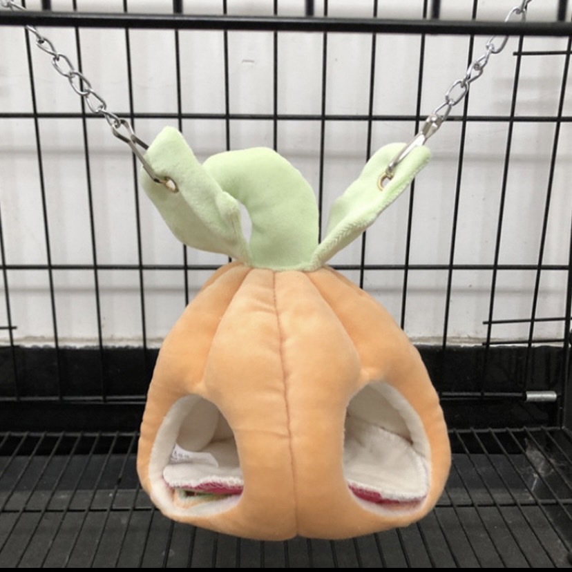 二個洞口南瓜窩