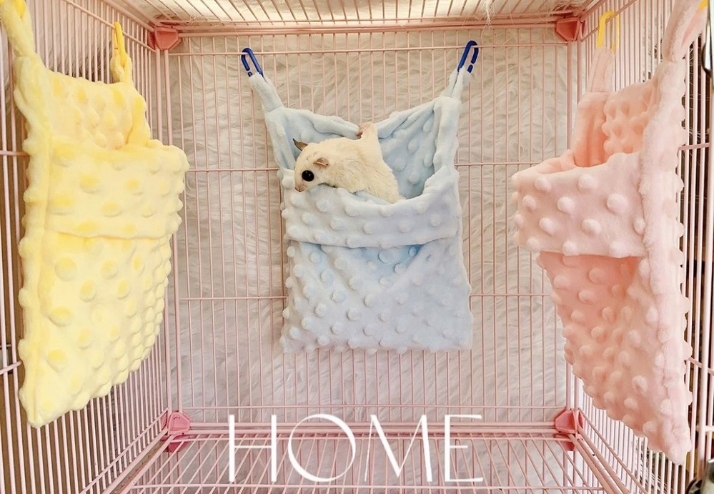 荳荳布開口吊窩