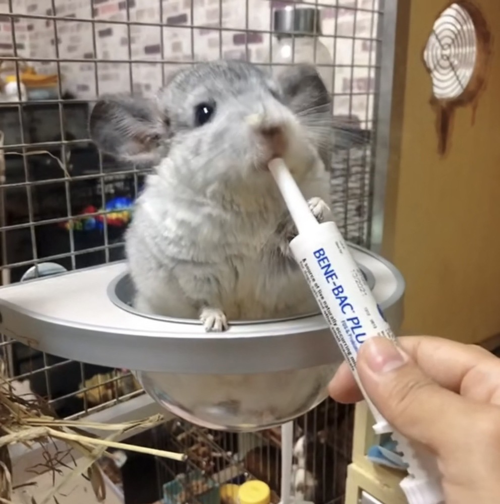 雲朵太空艙睡窩(中/大)