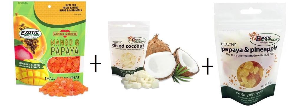 【綜合果乾】鳳梨、木瓜、芒果、椰子乾 100G散裝