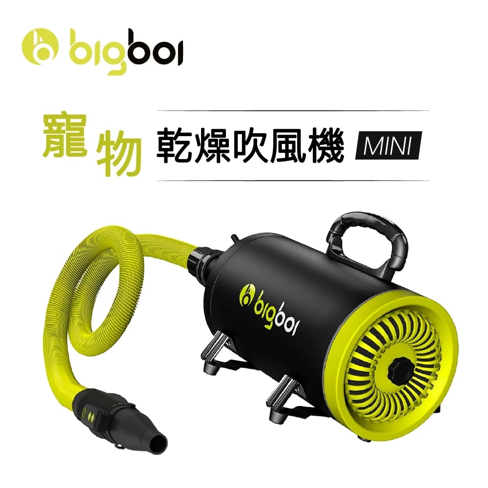 澳洲 bigboi mini 全新遙控款 保固三年 寵物冷熱吹風機 澳洲原裝進口