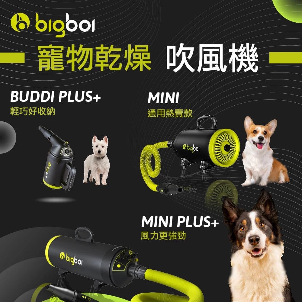 澳洲 bigboi 寵物冷熱吹風機含手持軟管組 Buddi PLUS+ 澳洲原裝進口 保固三年