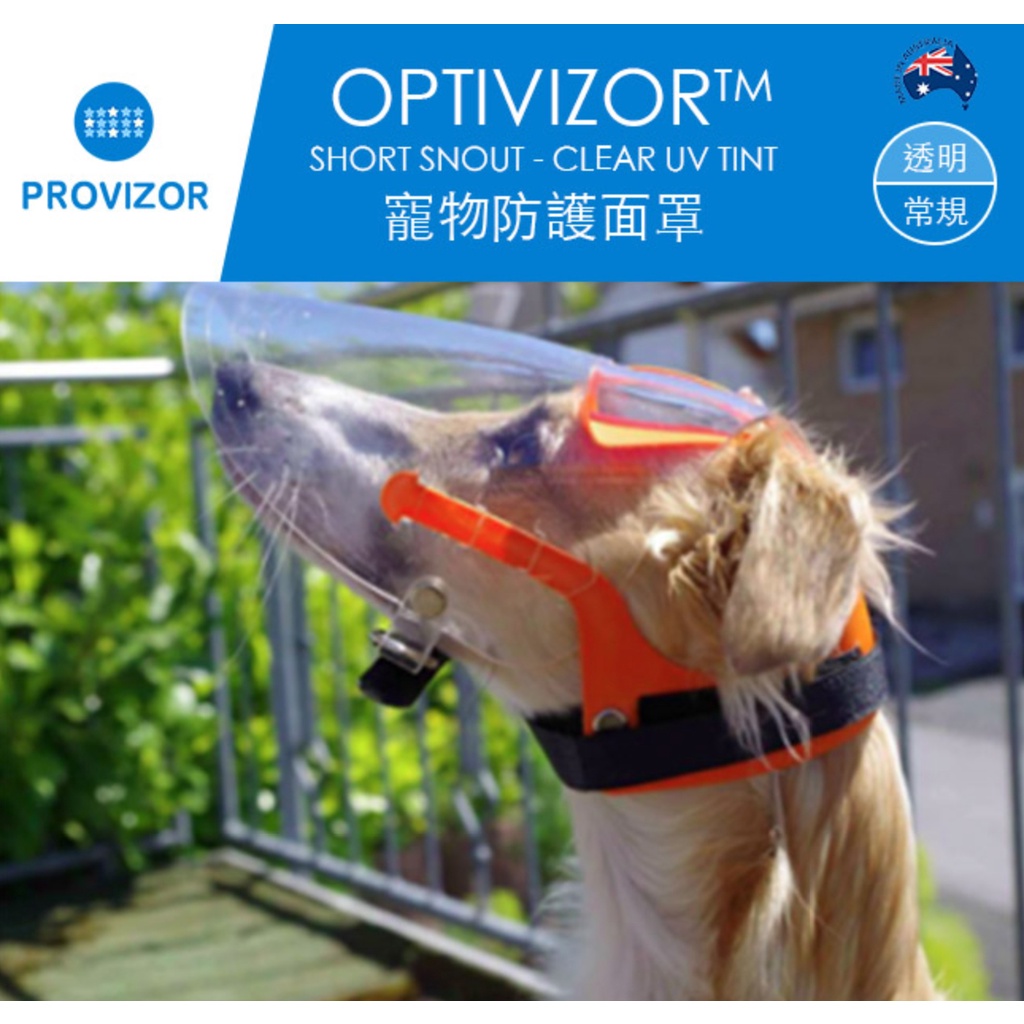 PROVIZOR 澳洲寵物防護面罩 常規 多尺寸【透明/遮光墨片】防撞防舔護眼 日常照護or手術完照護