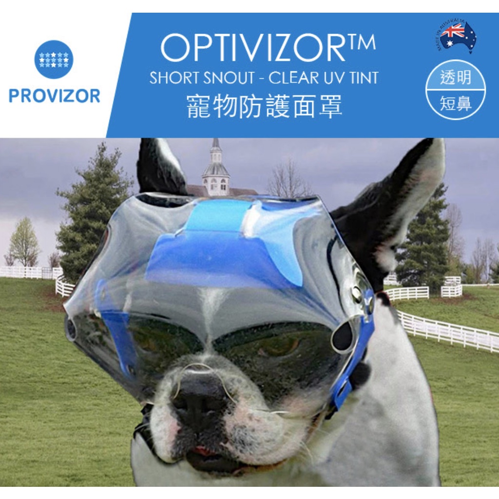PROVIZOR 澳洲寵物防護面罩 短版 多尺寸【透明/遮光墨片】防撞防舔護眼 日常照護or手術完照護