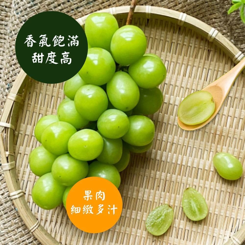 K - grapes【空運極品麝香葡萄】極品限定空運直送