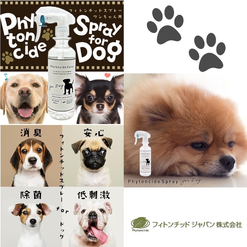 天然系芬多精環境噴霧狗狗專用