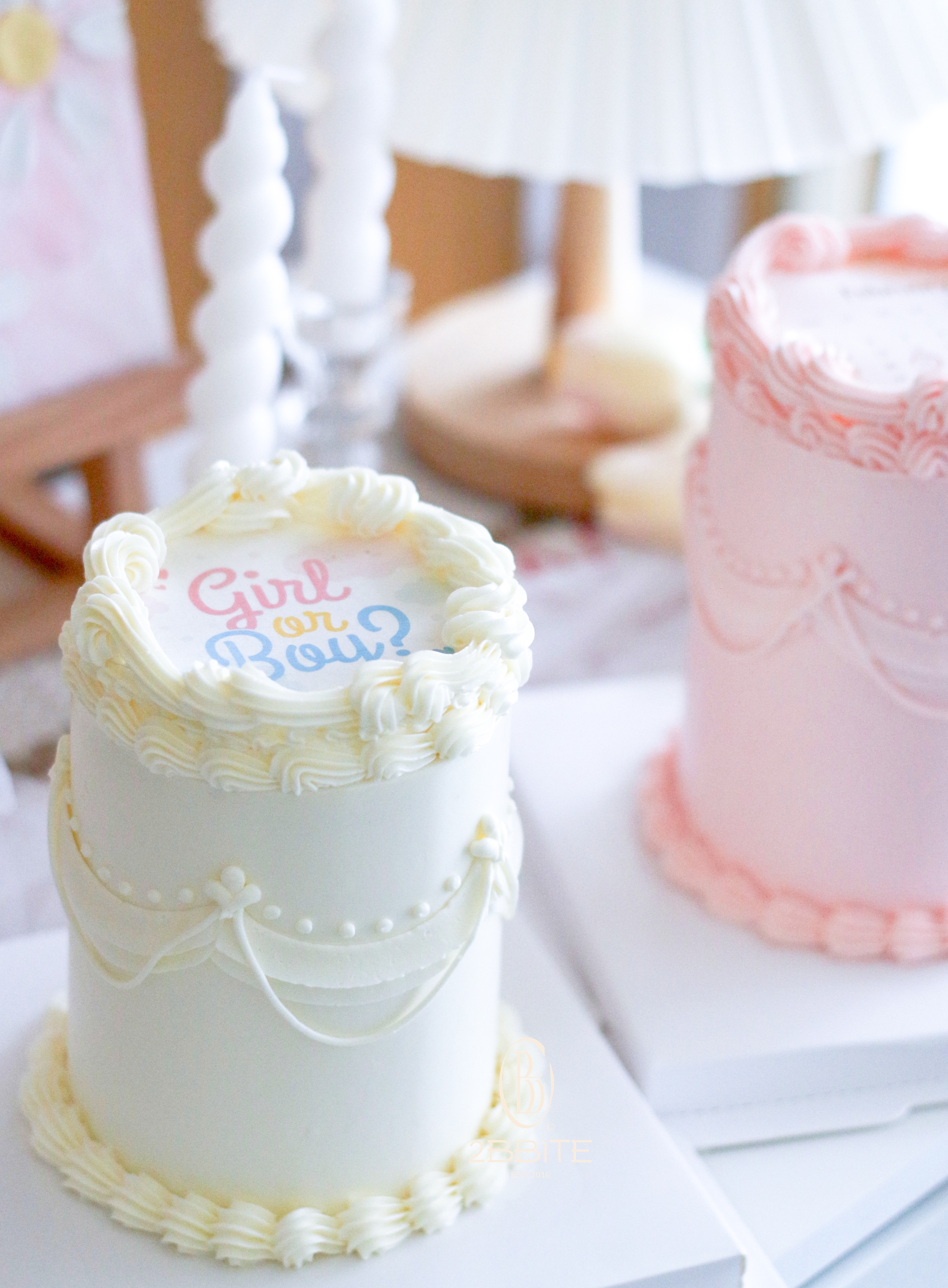 「燃燒蛋糕」單色基本款