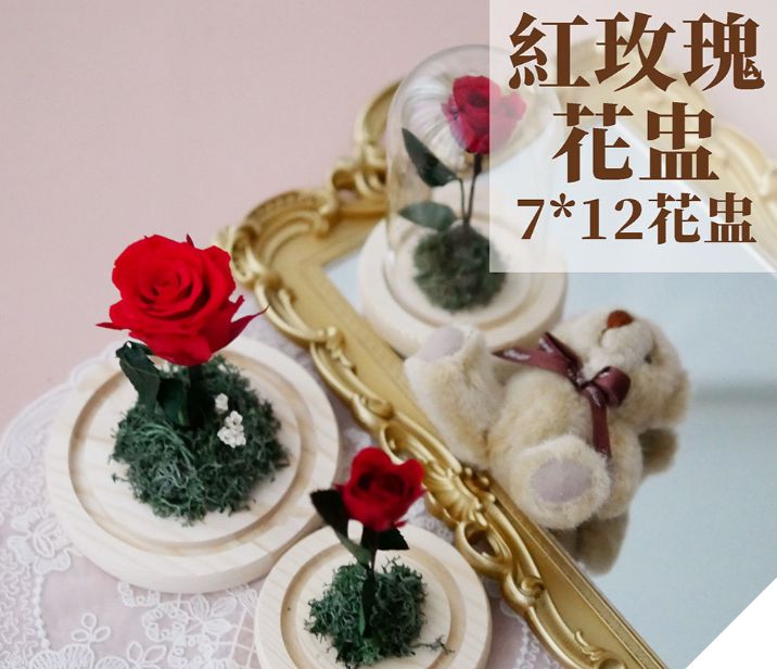 極度花燥永生花乾燥花材專賣店 紅色魔法玫瑰花盅 紅色7*12花盅 附PVC10*10*15 (有膜)+花燥面交袋小號 花禮