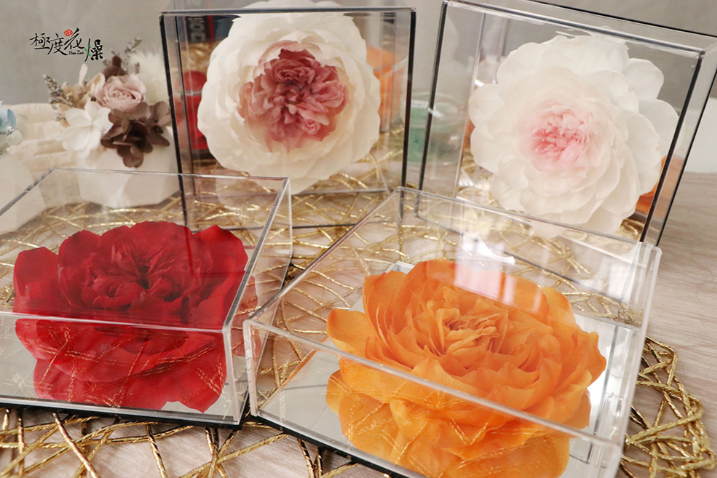 極度花燥永生花乾燥花材專賣店 鏡面永生芍藥 附花燥面交袋 花禮