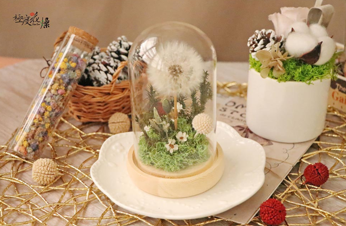 極度花燥永生花乾燥花材專賣店 蒲公英花盅 花禮