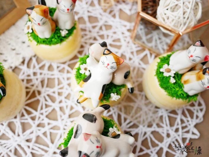 極度花燥永生花乾燥花材專賣店 貓咪盆栽 花禮