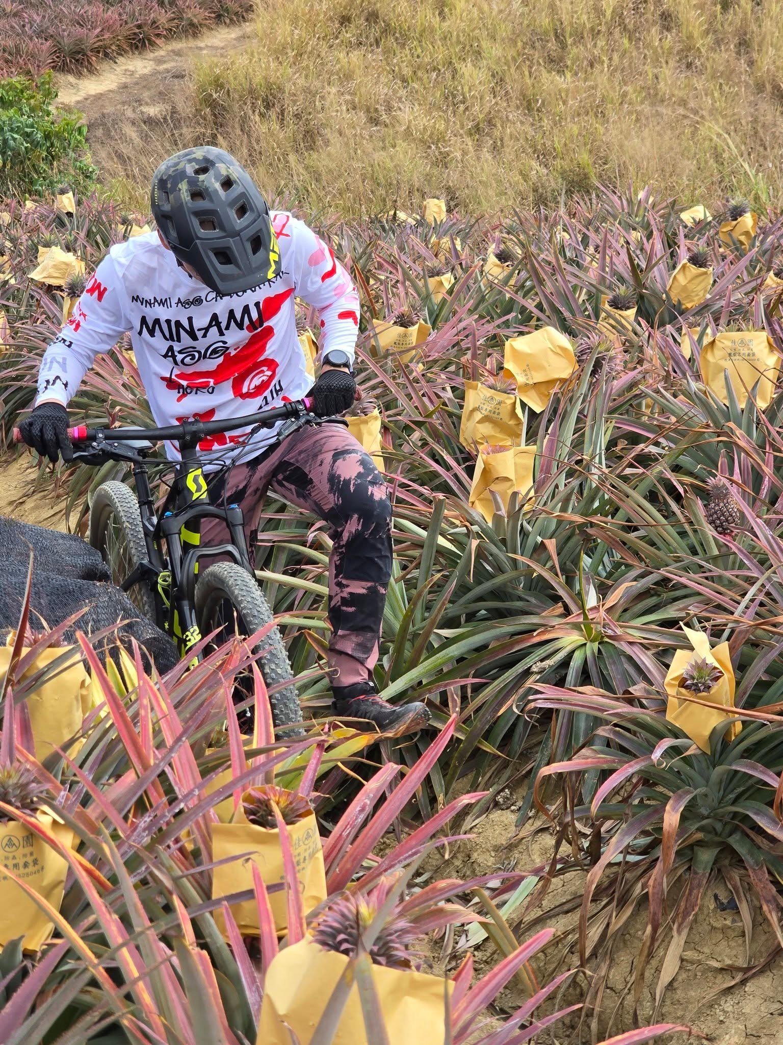 初三去哪玩？高雄特色場勘之旅