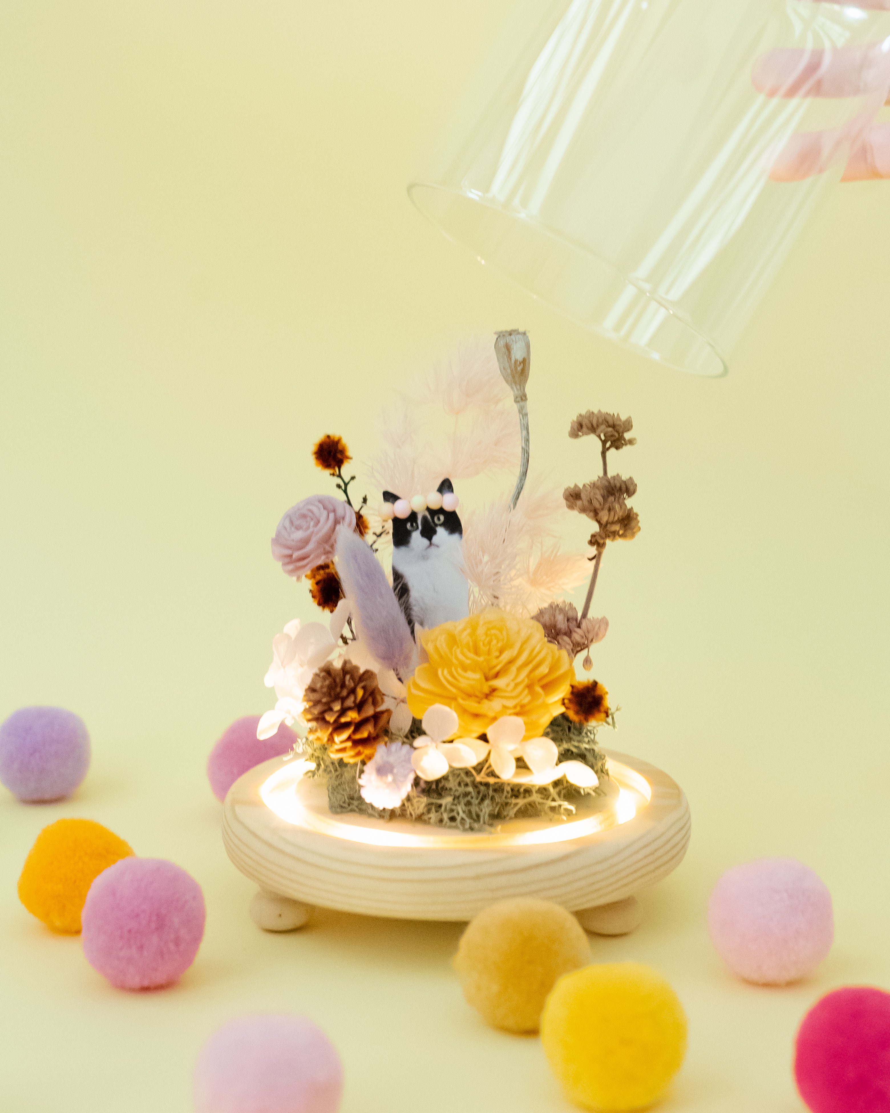 Liv Flower x 流浪動物花園 毛孩鐘罩花藝體驗（目前場次都已額滿）