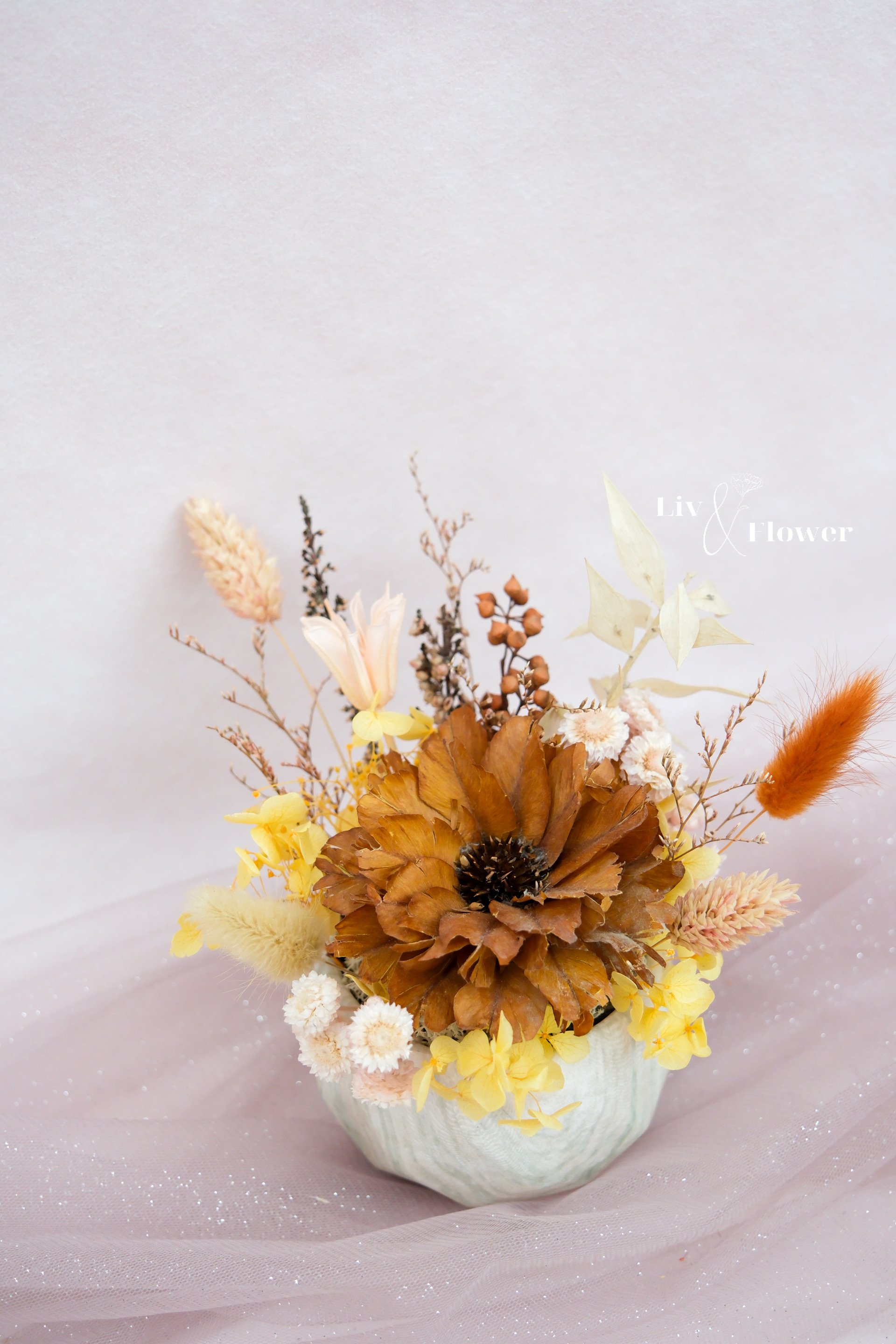 索拉花+不凋花 小盆花