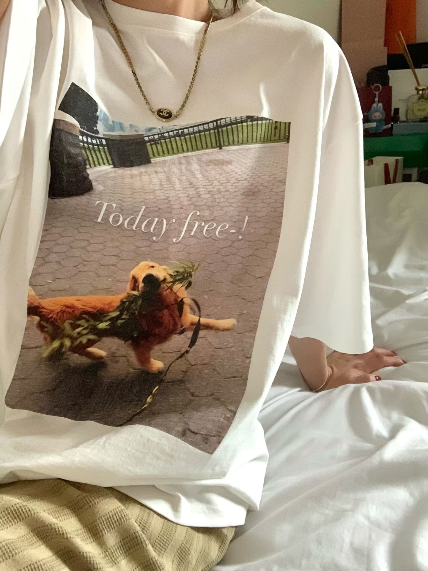 早鳥價開團中！《貓貓狗狗》today free狗狗T