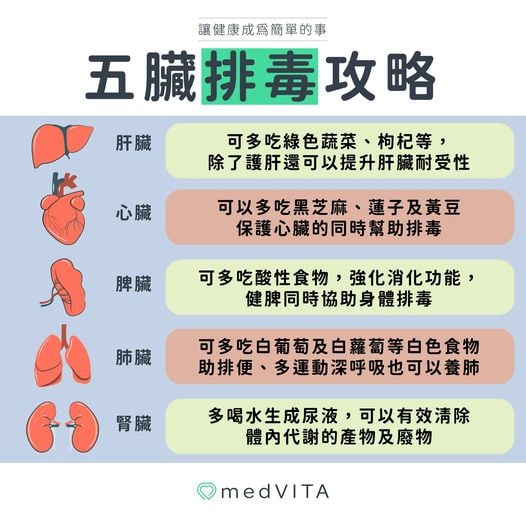 覺㦡medVITA | 五臟排毒攻略
