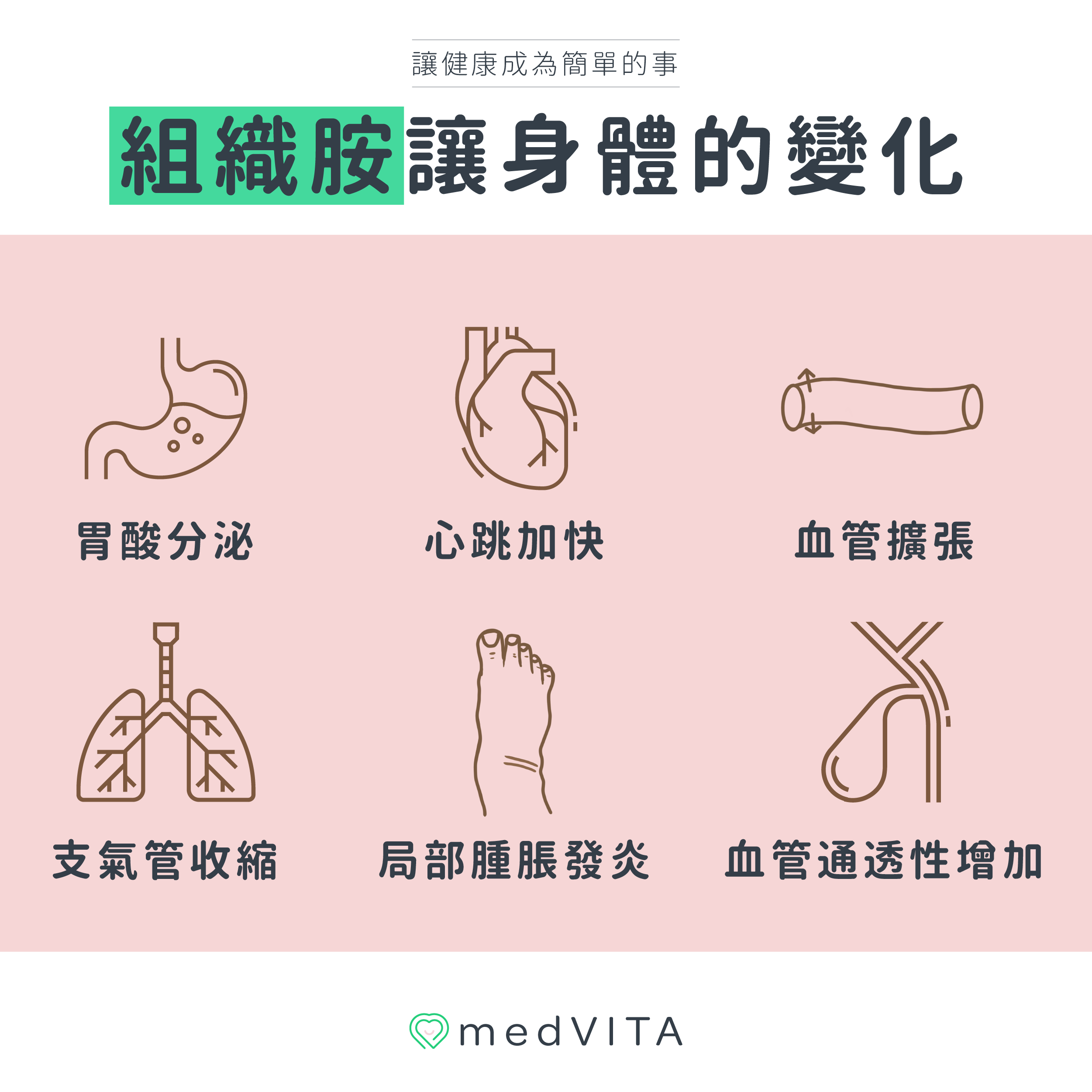覺㦡medVITA | 組織胺讓身體的變化