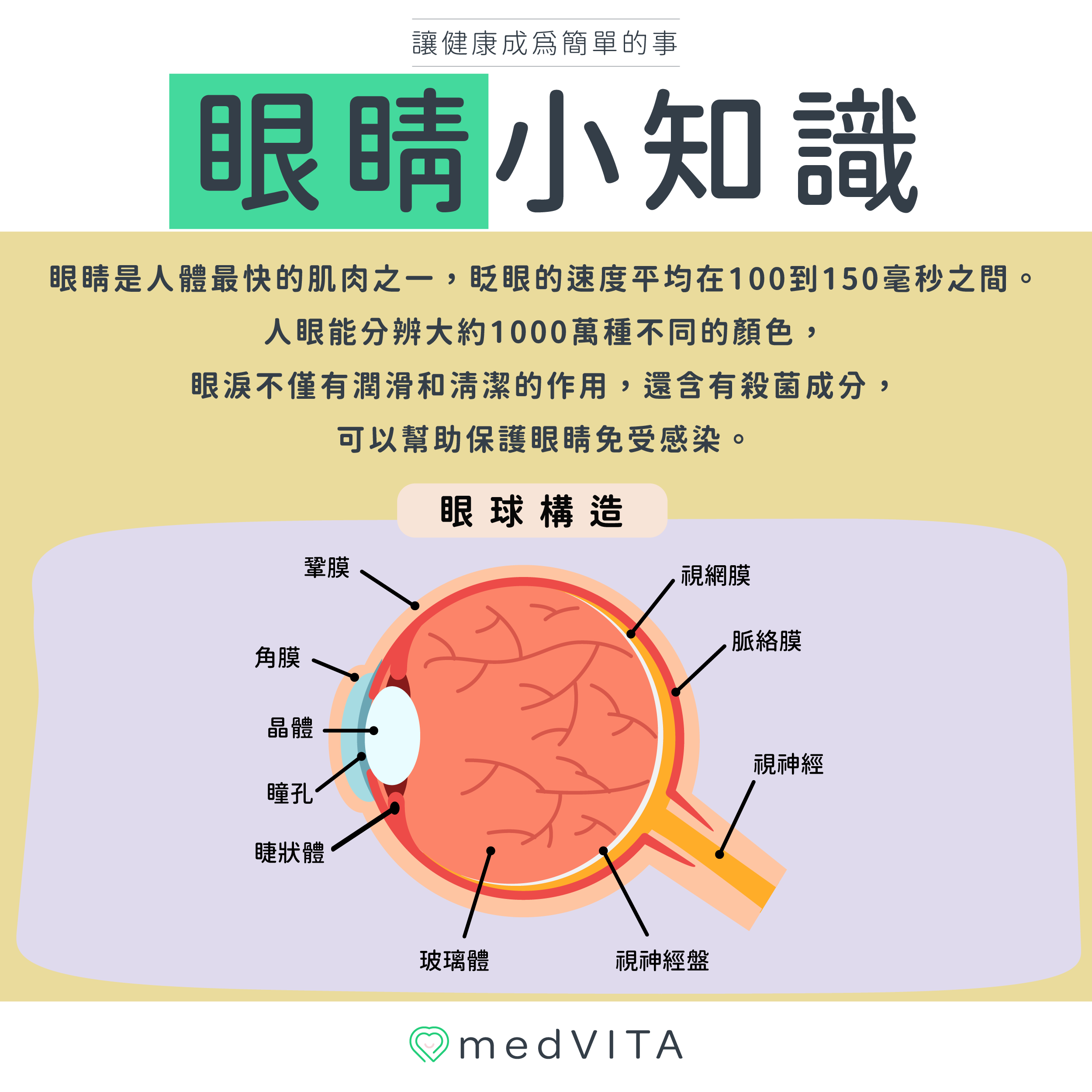 覺㦡medVITA | 眼球小知識