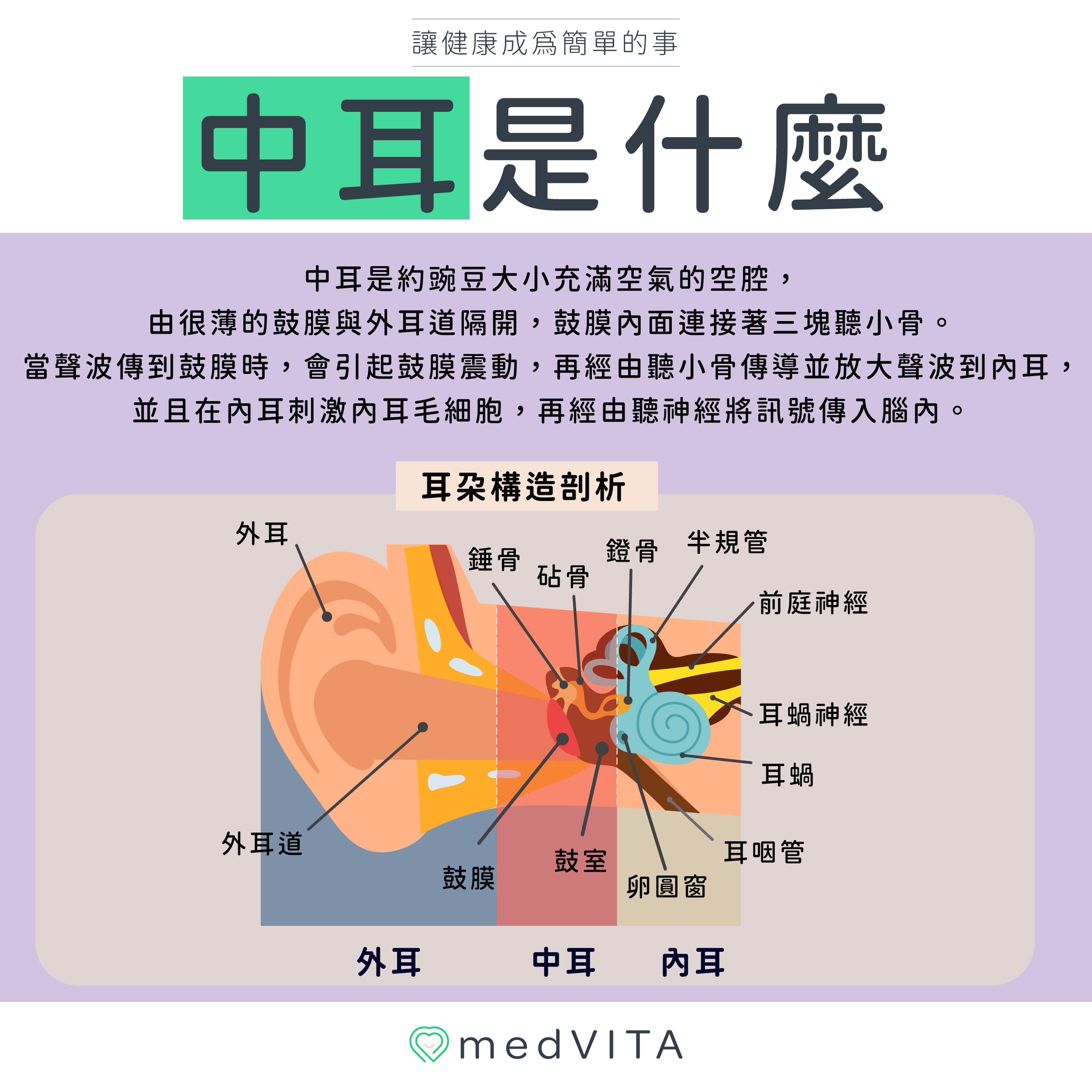 覺㦡medVITA | 中耳小知識