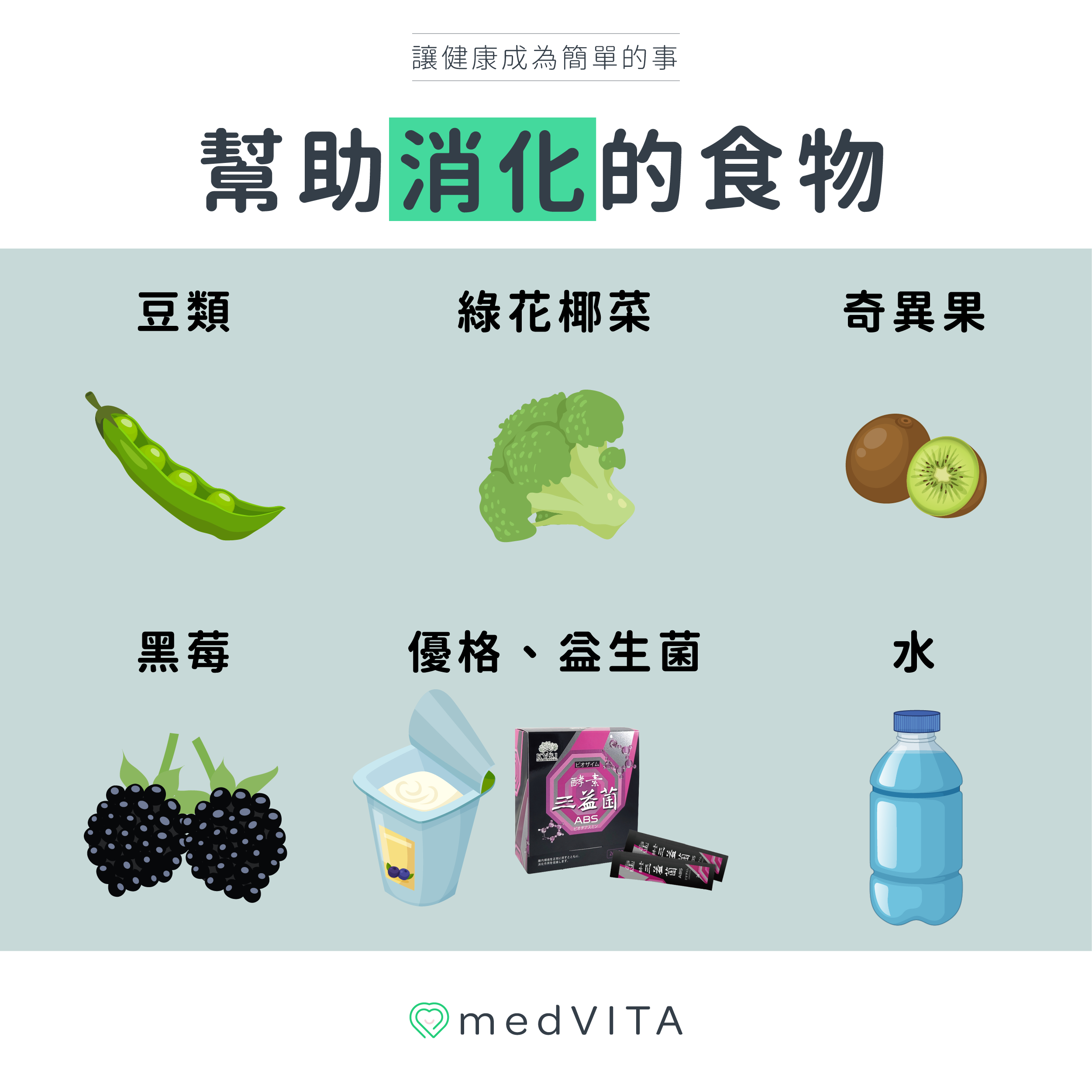 覺㦡medVITA | 幫助消化的食物種類