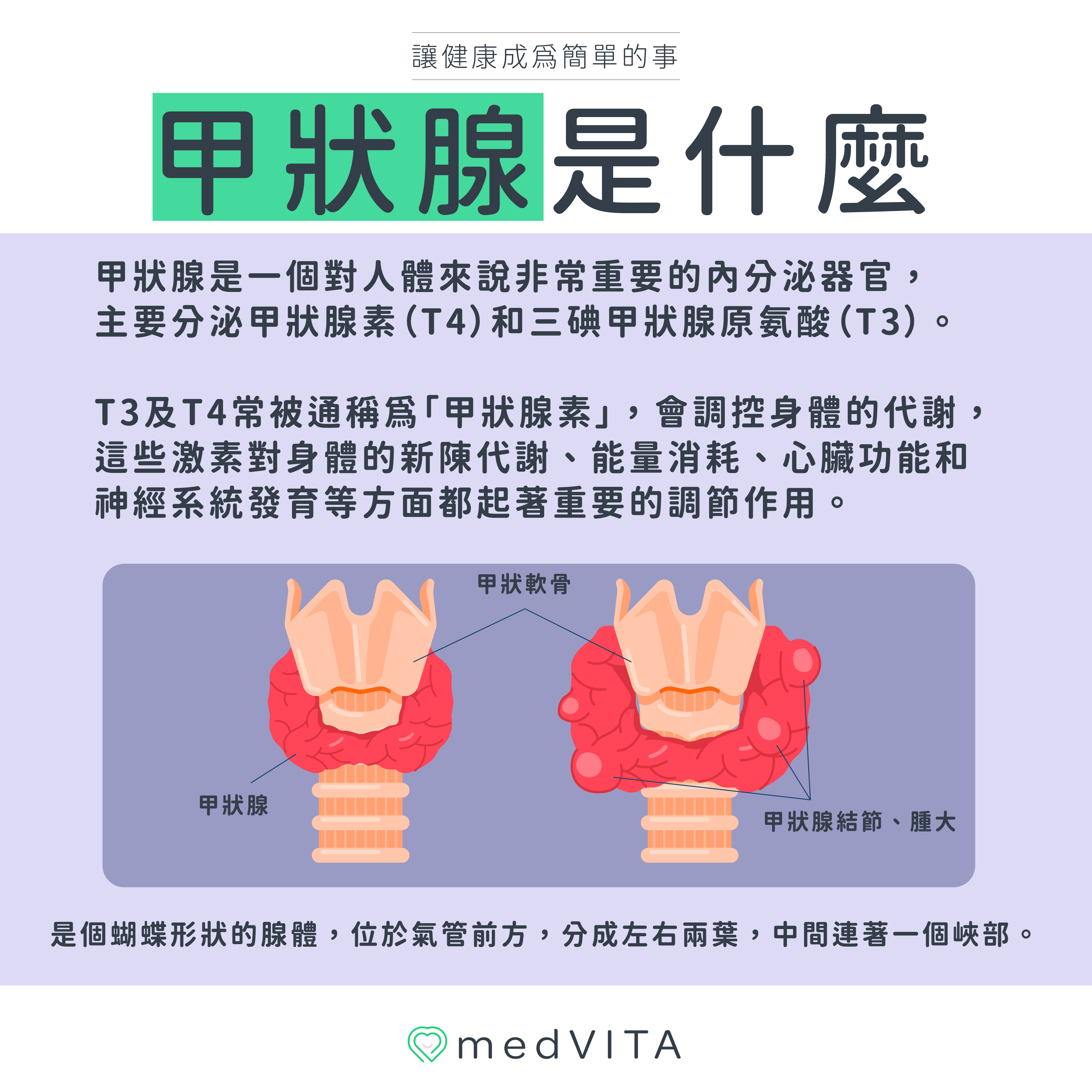 覺㦡medVITA | 甲狀腺是什麼