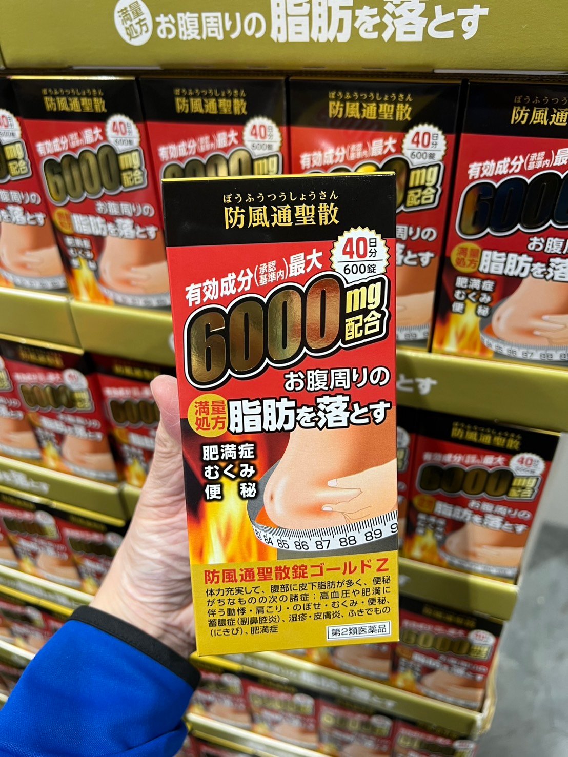 防風通聖散6000mg 27043