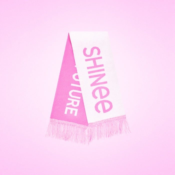 SMTOWN 30周年 LIVE 2025 官方周邊 圍巾 (SHINee)