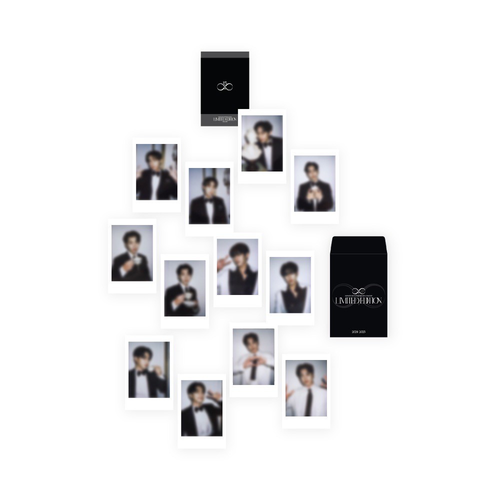 INFINITE 15週年演唱會 官方周邊 拍立得套組
