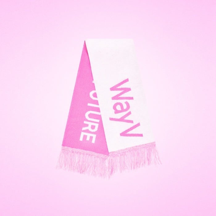 SMTOWN 30周年 LIVE 2025 官方周邊 圍巾 (WayV)