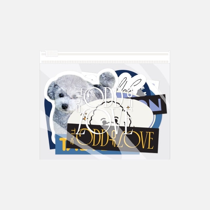 GIRLS' GENERATION 少女時代 Taeyeon 太妍 個人演唱會官方周邊 貼紙組合套組