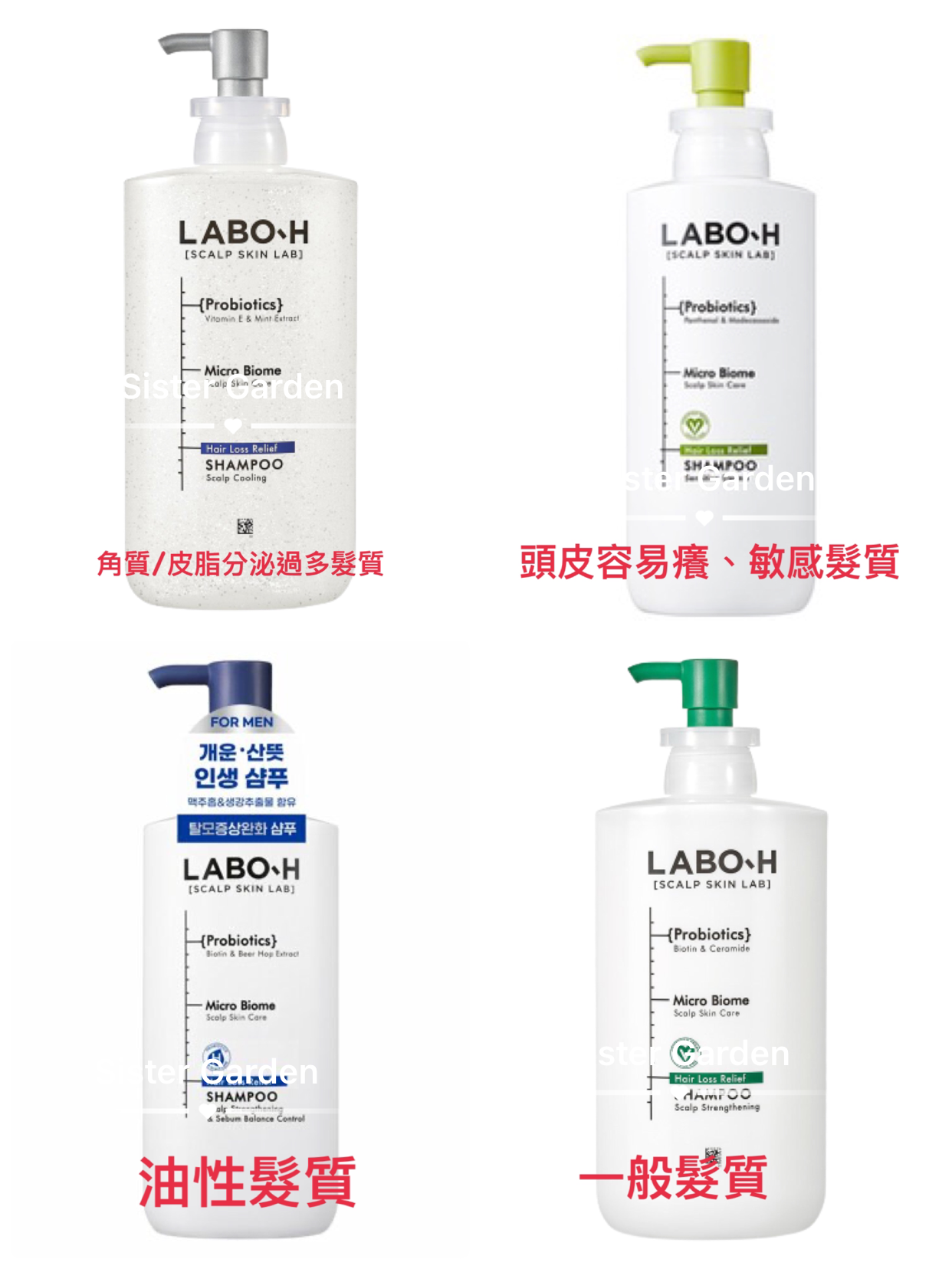 LABO-H 益生菌強健頭皮洗髮精