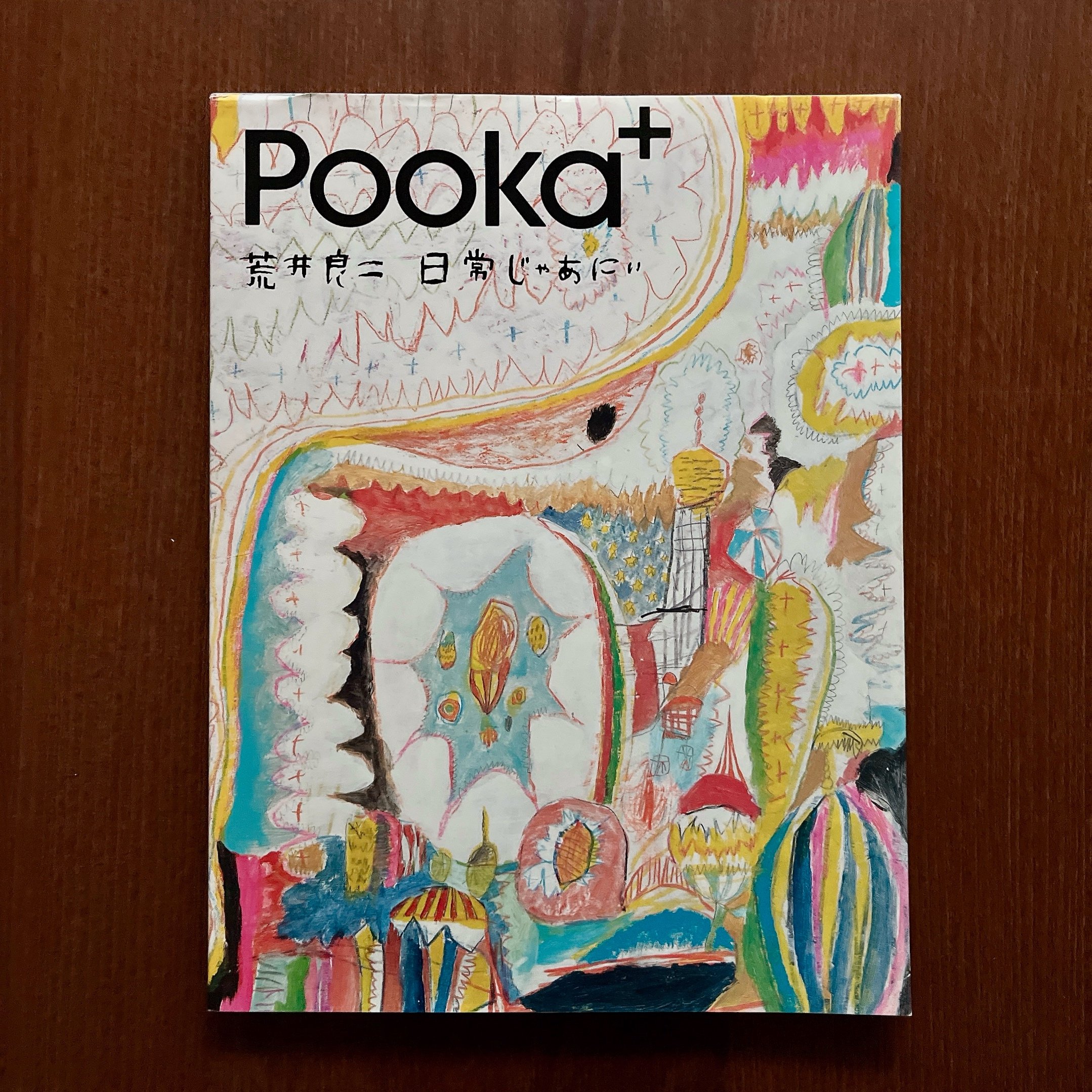 Pooka+ 荒井良二 日常じゃあにい