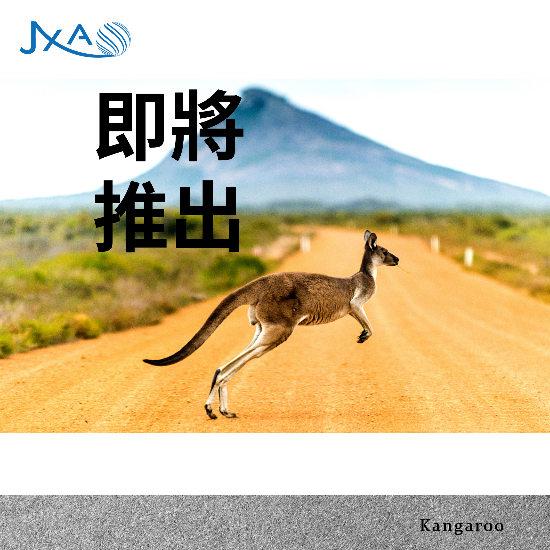 Kangaroo (固定)