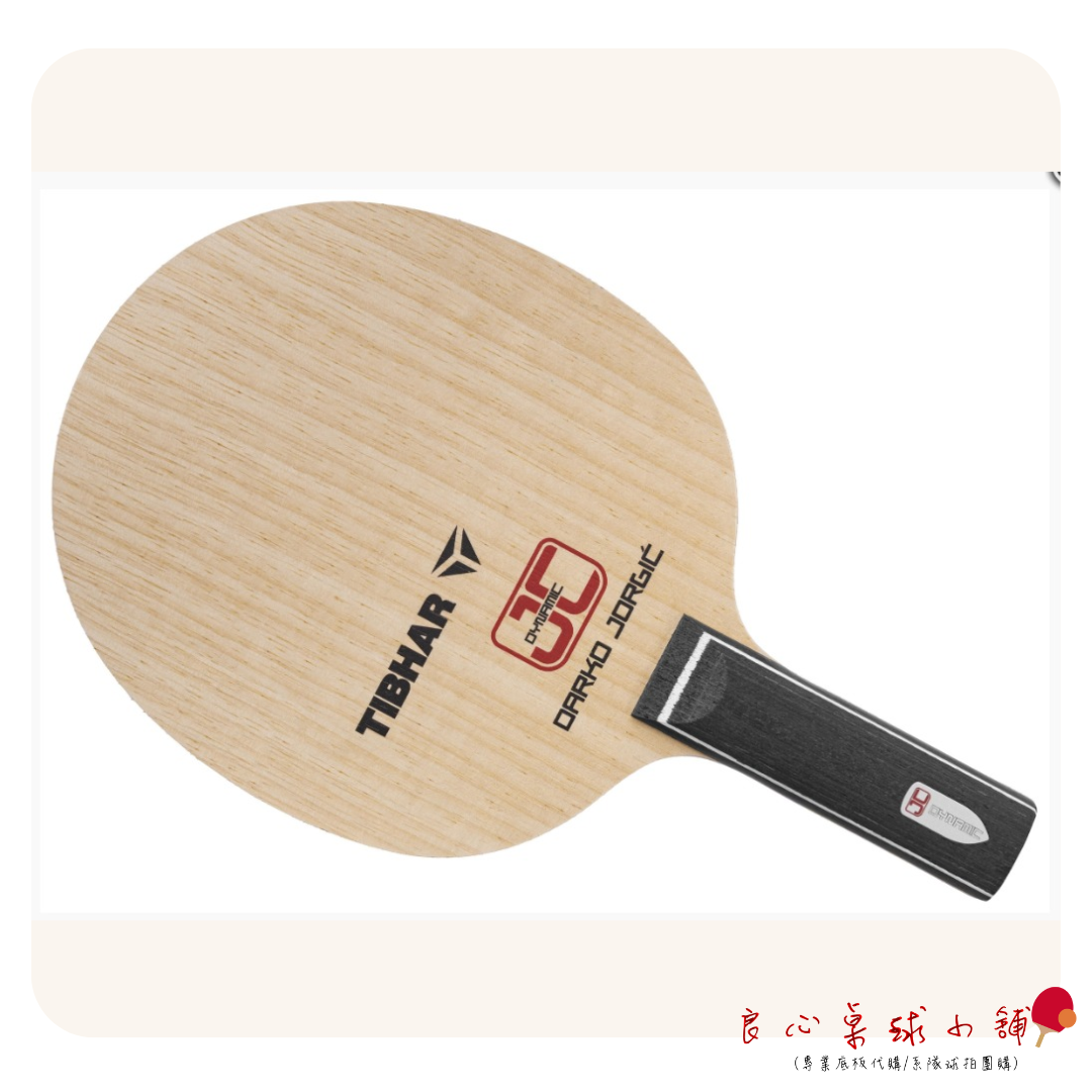 【TIBHAR】Dynamic JC Darko Jorgić Jorgic