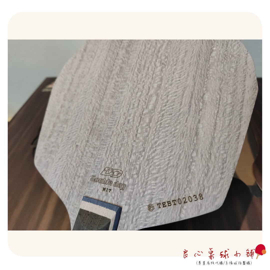 【Double Day】蜂巢ALC多邊形 特注#Viscaria蝴蝶王結構#