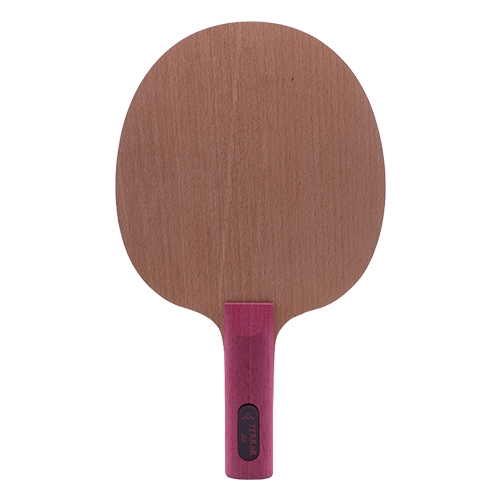 【 Der Materialspezialist 】德國材料專家 球拍 全能型 - Terror