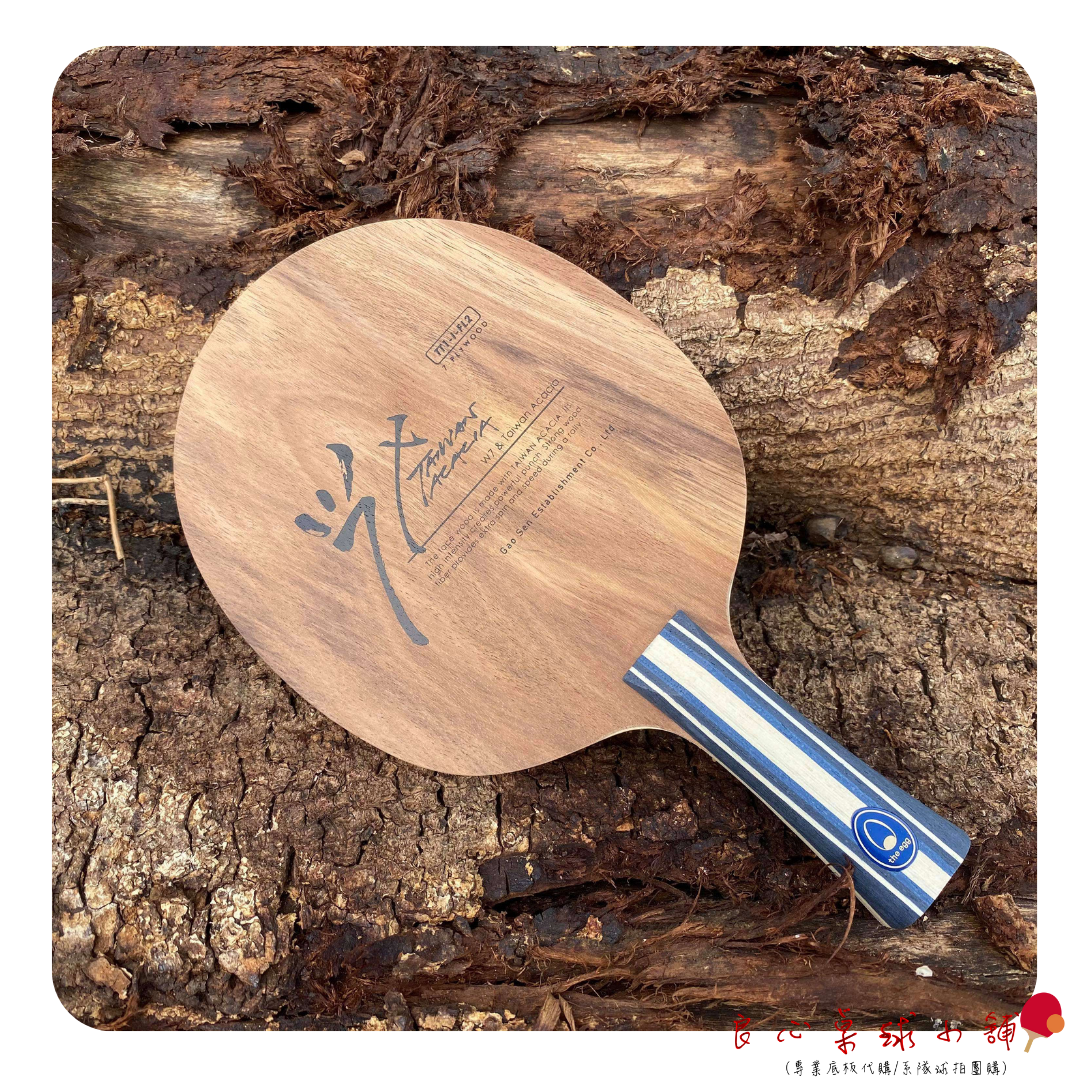【 蛋牌THE EGG 】專業桌球底板(純木/碳纖ALC) #台灣原生種小葉相思木#
