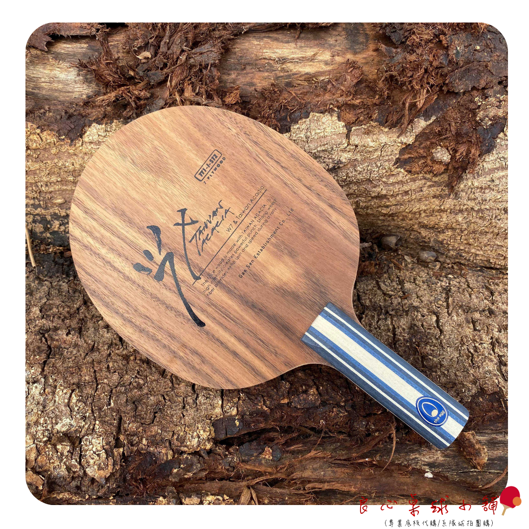 【 蛋牌THE EGG 】專業桌球底板(純木/碳纖ALC) #台灣原生種小葉相思木#