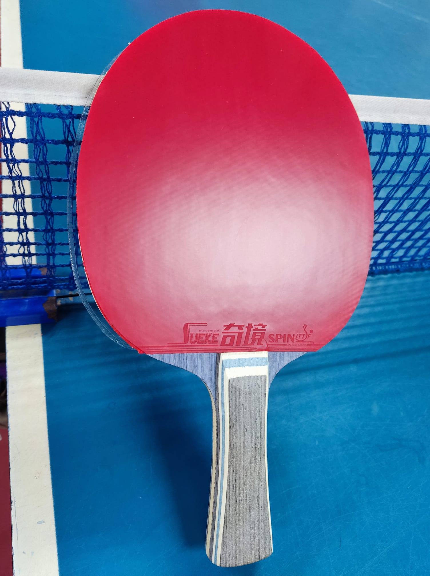 【 Suke 】奇境 蛋糕海綿澀性膠皮(新世代超高CP反手皮)